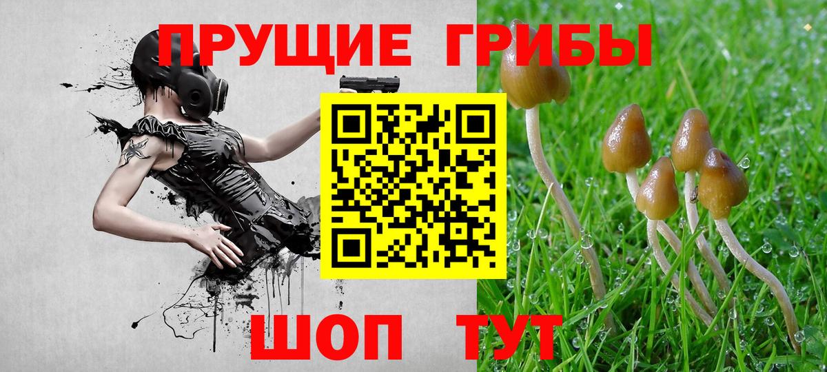 Галлюциногенные грибы GOLDEN TEACHER Елабуга