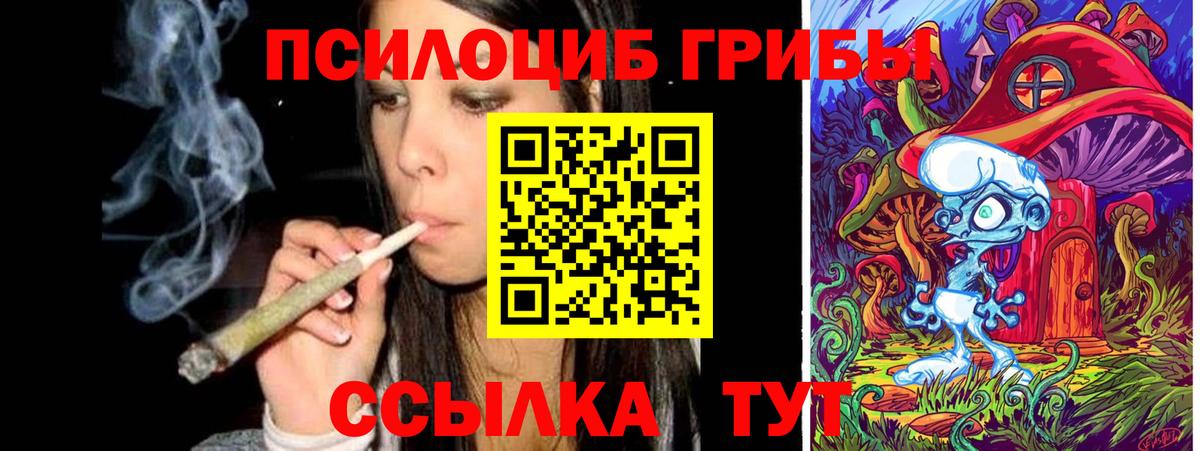 Галлюциногенные грибы MAGIC MUSHROOMS  Псилоцибиновые грибы Cubensis  Елабуга  Вход с VPN 